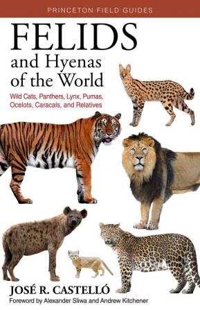 Felids and Hyenas of the World