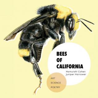 Bees of California: Art Science and Poetry