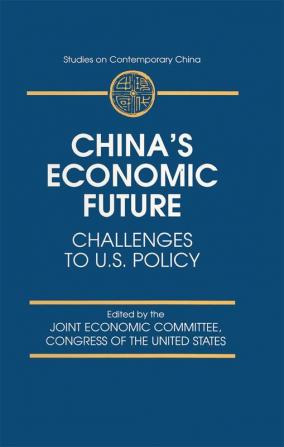 China's Economic Future