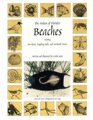 The Nature of Florida's Beaches: Including Sea Beans Laughing Gulls and Mermaids' Purses