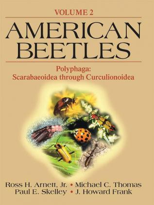 American Beetles Volume II