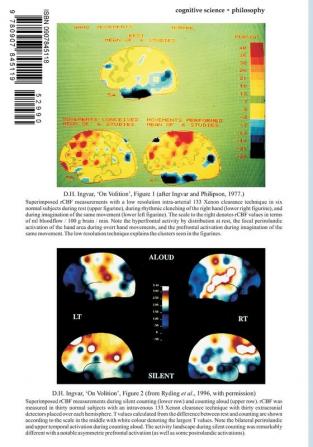 Volitional Brain: Towards a Neuroscience of Freewill