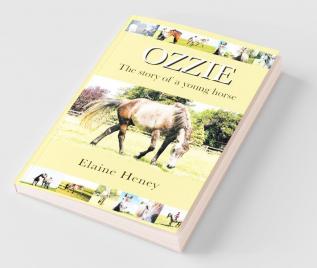 Ozzie - The story of a young horse