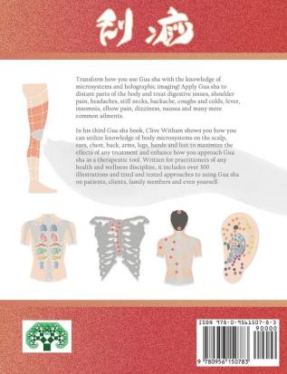 Holographic Gua sha: A Practical Microsystem Handbook