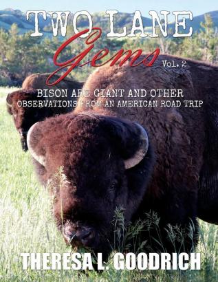 Two Lane Gems Vol. 2: Bison are Giant and Other Observations from an American Road Trip