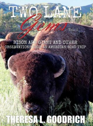 Two Lane Gems Vol. 2: Bison are Giant and Other Observations from an American Road Trip