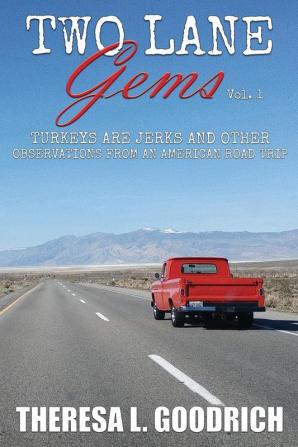 Two Lane Gems Vol. 1: Turkeys are Jerks and Other Observations from an American Road Trip