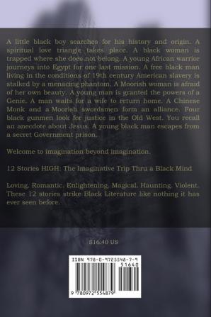 12 Stories High: The Imaginative Trip Thru a Black Mind