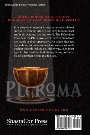 Pleroma