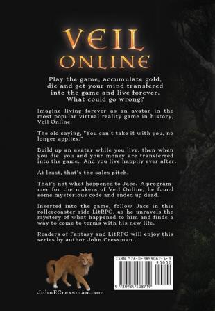 Veil Online - Book 1 (a LitRPG MMORPG Adventure Series)