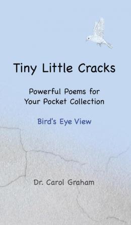 Tiny Little Cracks: Bird's Eye View