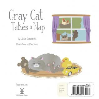 Gray Cat Takes a Nap