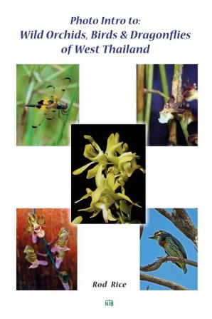 Photo Intro to: Wild Orchids Birds & Dragonflies of West Thailand