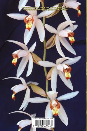 Photo Intro to: Asian Bulbophyllum Coelogyne & Dendrobium Orchids (with floristic observations of Subtribe Coelogyninae)