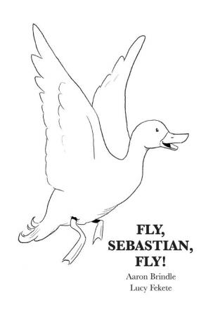 Fly Sebastian Fly!