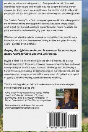 Guide to Buying Your First (or Next) Horse