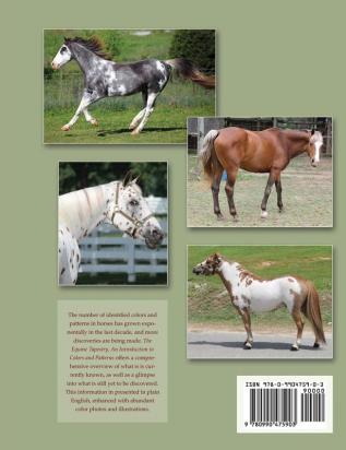 The Equine Tapestry: An Introduction to Colors and Patterns