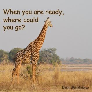 When you are ready where could you go?