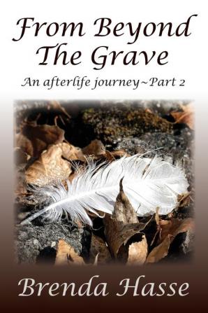 From Beyond The Grave: An afterlife journey Part 2