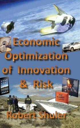 Economic Optimization of Innovation and Risk