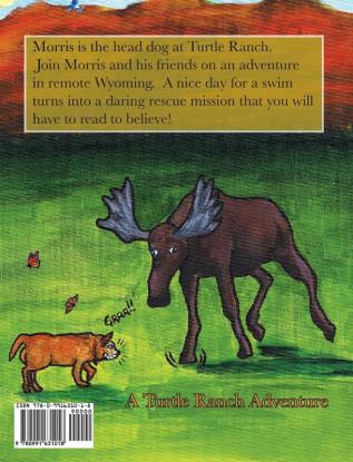 Morris & the Moose: 2 (Turtle Ranch Adventure)