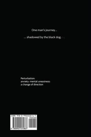 Perturbation: The Journey