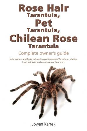 Rose Hair Tarantula Pet Tarantula Chilean Rose Tarantula: Complete owner's guide