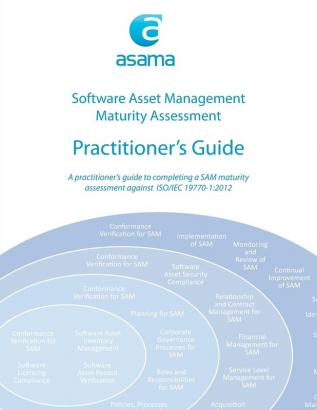 Software Asset Management Maturity Assessment: Practitioner's Guide