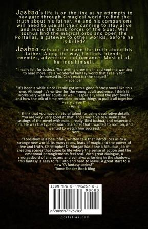 Joshua and the Magical Forest: 1 (Portallas)