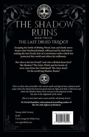 The Shadow Ruins: Book Two of The Last Druid Trilogy: 2