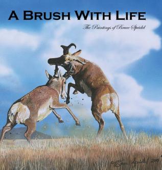 A Brush With Life: The Paintings of Bruce Speidel