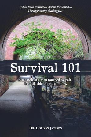 Survival 101: A memoir of a man touched by pain but still able to find comfort. (Silver Lining)