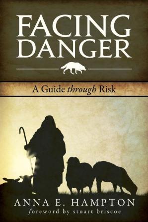 Facing Danger: A Guide Through Risk