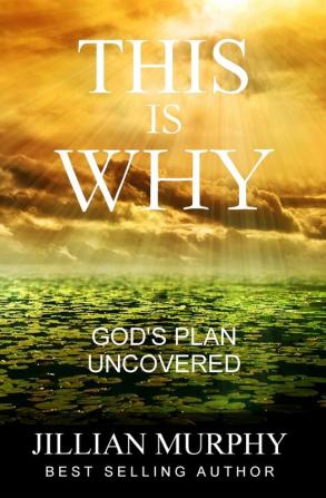 This is WHY: God's Plan Uncovered