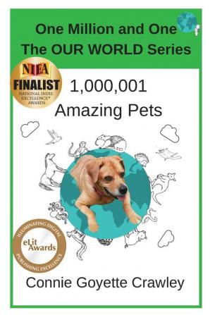 One Million and One Amazing Pets: 2 (One Million and One: The Our World)