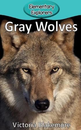 Gray Wolves: 1 (Elementary Explorers)