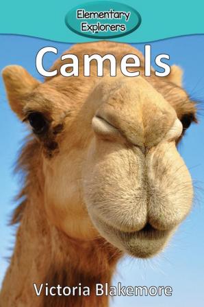 Camels: 4 (Elementary Explorers)