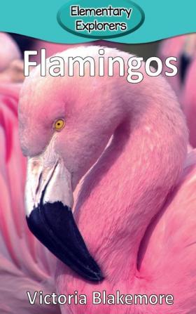 Flamingos: 3 (Elementary Explorers)