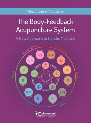 The Body-Feedback Acupuncture System: A New Approach to Holistic Medicine