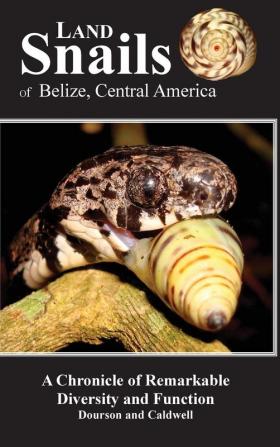 Land Snails of Belize Central America: A Remarkable Chronicle of Diversity and Function