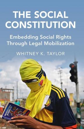 The Social Constitution