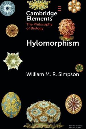 Hylomorphism