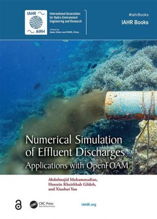 Numerical Simulation of Effluent Discharges