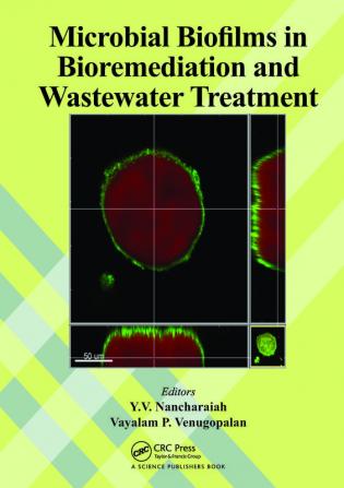 Microbial Biofilms in Bioremediation and Wastewater Treatment