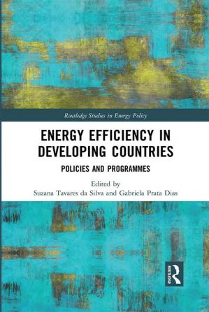 Energy Efficiency in Developing Countries