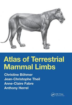 Atlas of Terrestrial Mammal Limbs