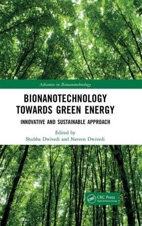 Bionanotechnology Towards Green Energy : Innovative and Sustainable Approach