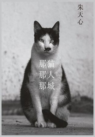 那猫那人那城