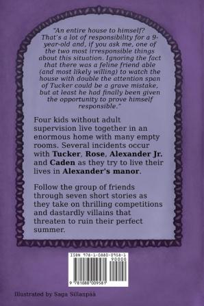 Incidents at Alexander's Manor: The Kids and the Home Invaders