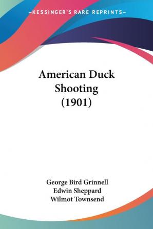 American Duck Shooting